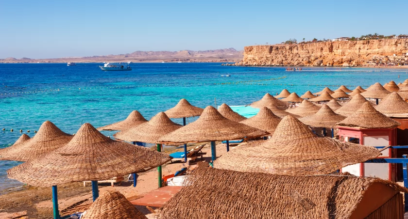 Na wakacje prosto z naszego lotniska! Zimą egipskie plaże w Marsa Alam, a latem 2026 powrócą słoneczne podróże do Turcji i Albanii. Czekają również Holandia i Niemcy