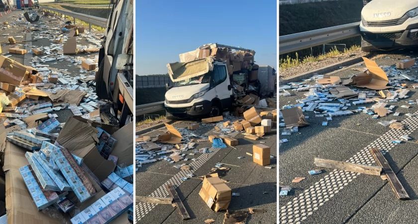 Tragiczny finał transportu bydła: Wypadek pod Łomżą ujawnia tytoniowy szmugiel [FOTO]