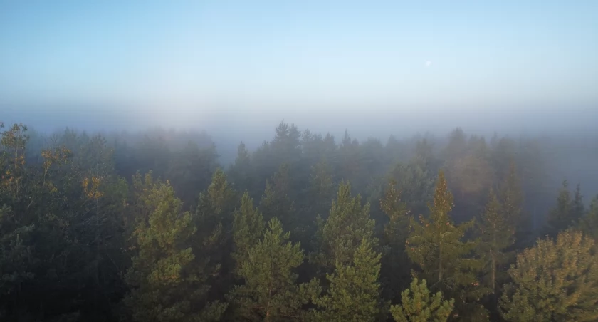 Tak wyglądał mglisty poranek w okolicach Łomży [FOTO i VIDEO]