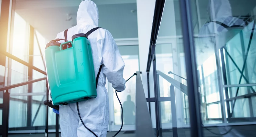 Jak przygotować mieszkanie lub biuro do dezynsekcji?