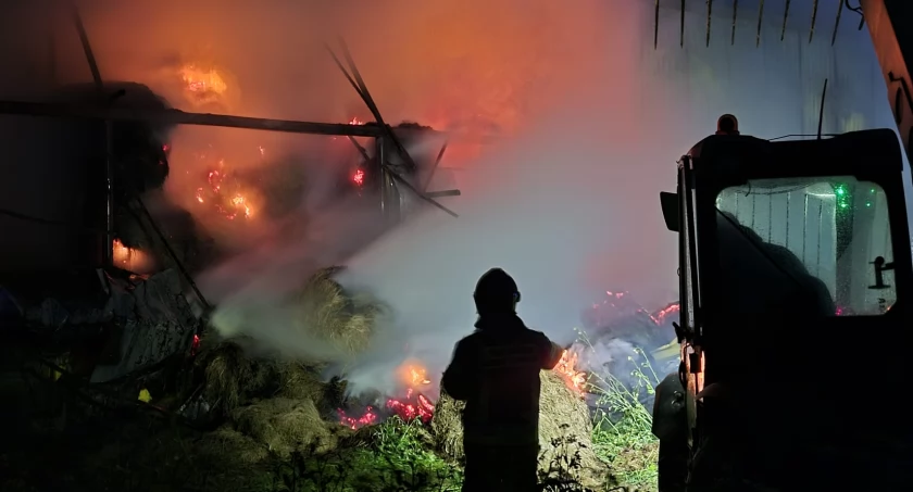 Tragiczny pożar w Andrzejkach. Ogień zniszczył budynek i uśmiercił część zwierząt [VIDEO i FOTO]