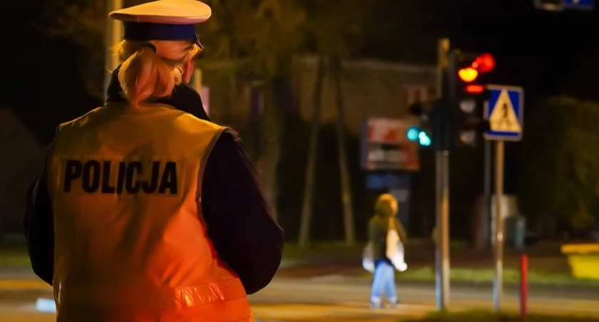 Policja sprawdzała, jak kierowcy i piesi zachowują się przy przejściach. Niemal 100 wykroczeń w jeden dzień