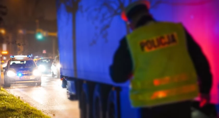Mundurowi sprawdzali ciężarowki