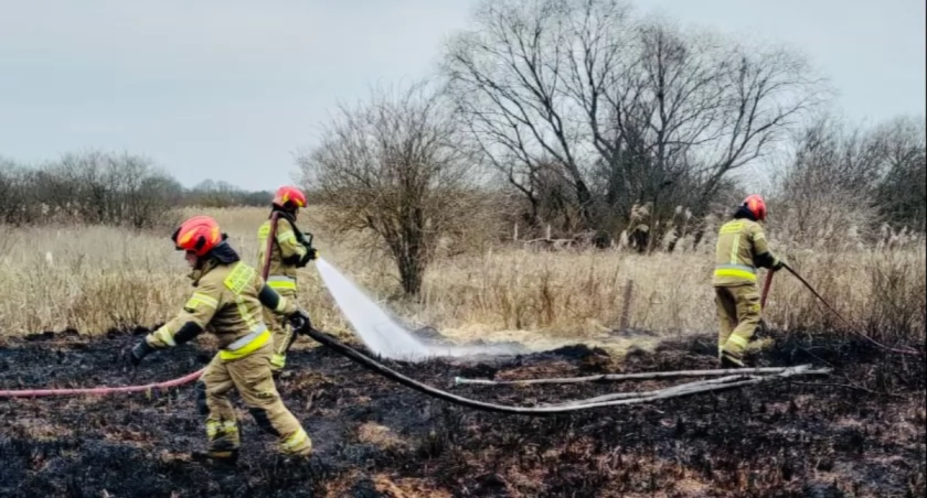 Zabawa ogniem prawie skończyła się tragedią. 12-latkowie zaprószyli pożar [FOTO]