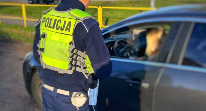 Łomża: 945 kontroli i dwa zatrzymane prawa jazdy