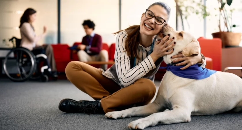 Dogoterapia - kurs idealny dla miłośników psów. Dlaczego warto go ukończyć i jakie otwiera możliwości zawodowe?