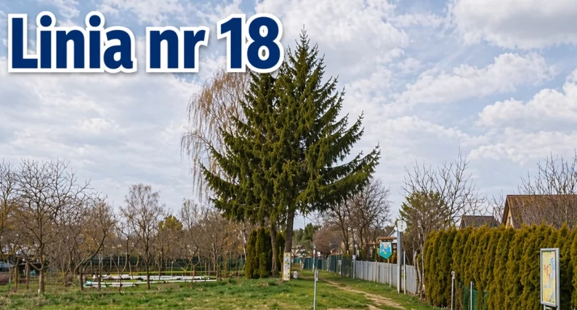 Wracają sezonowe połączenia MPK Łomża 