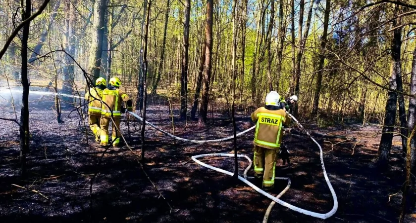 Pożar lasu koło Łomży. Synoptycy ostrzegają [FOTO]