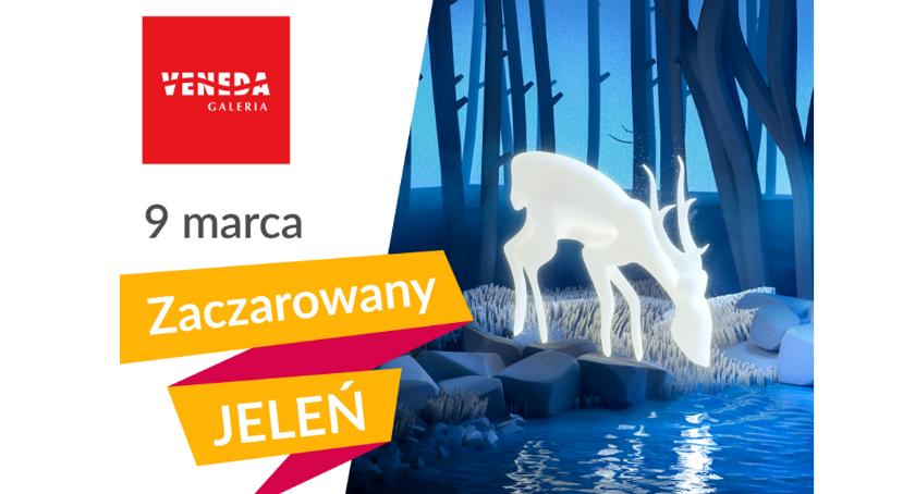 Zaczarowany Jeleń w Galerii Veneda! 
