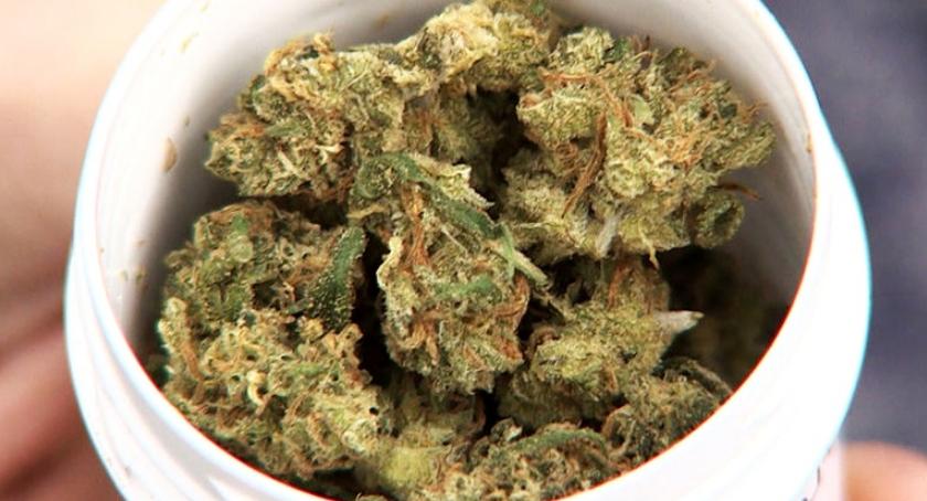 Medyczna marihuana jest już w białostockich aptekach