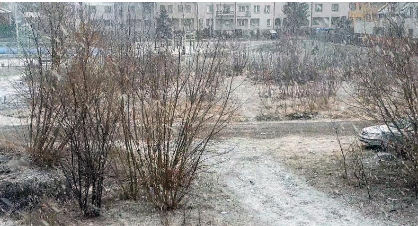 Silny wiatr i lokalne burze! IMGW ostrzega 