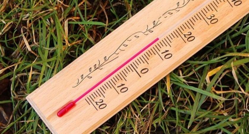 Pogoda na weekend: Wraca wiosenna temperatura