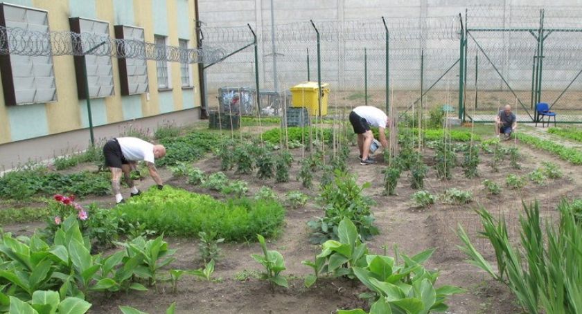 Ogrodoterapia za murami więzienia