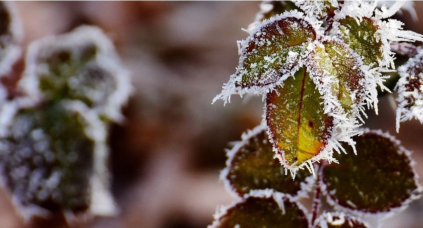To była mroźna noc! -9°C przy gruncie w Marianowie