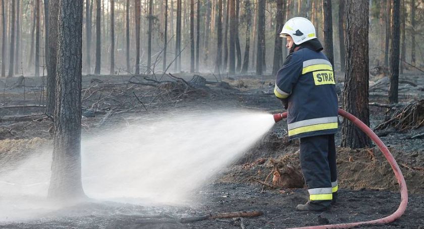 Płoną lasy w powiecie łomżyńskim