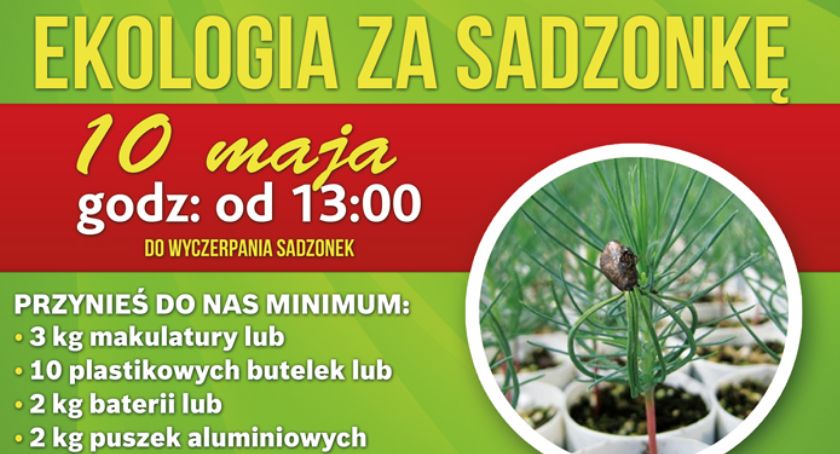 Łomża: Ekologia za sadzonkę