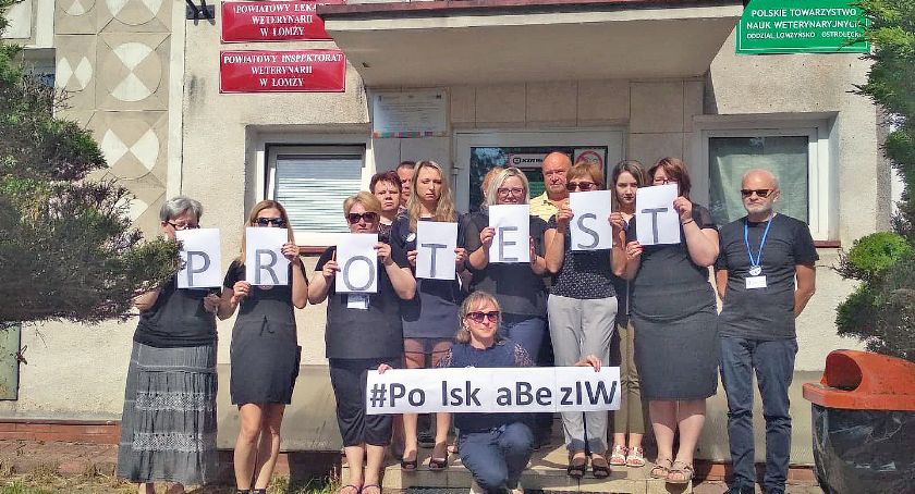 Łomża: Inspekcja Weterynaryjna rozpoczęła czarny protest