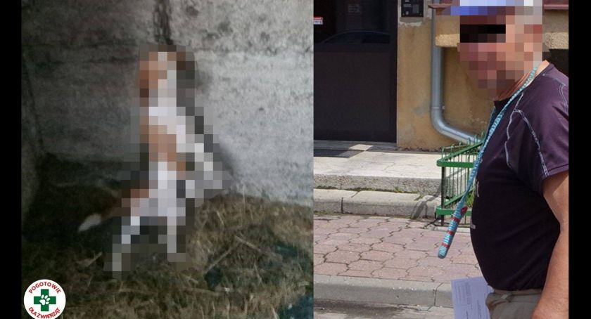 Okrucieństwo! Mężczyzna powiesił psa na łańcuchu. To miała być zemsta!