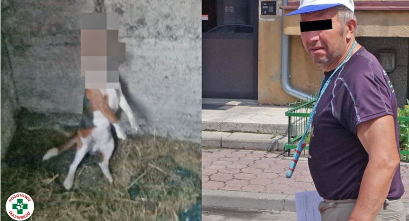 Akt oskarżenia za powieszenie psa. Znamy szczegóły okrutnego przestępstwa