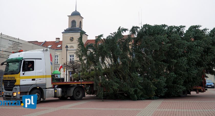 Łomża: Choinka przyjechała na Stary Rynek [VIDEO i FOTO]