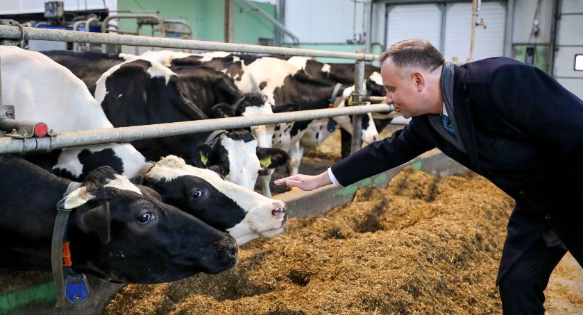 Prezydent Duda wizytował gospodarstwo rolne i spotkał się z mieszkańcami Kolna [FOTO i VIDEO]
