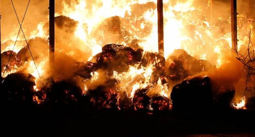 Strażacy walczą z pożarem setek bel siana w gminie Jedwabne