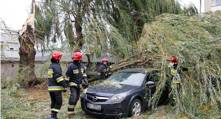 IMGW ostrzega: Będzie wiać mocny wiatr
