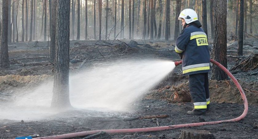 Duże zagrożenie pożarowe w okolicznych lasach