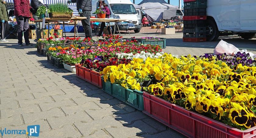 Ograniczenia w prowadzeniu działalności na łomżyńskim targowisku. MPGKIM przyjmuje zgłoszenia! 