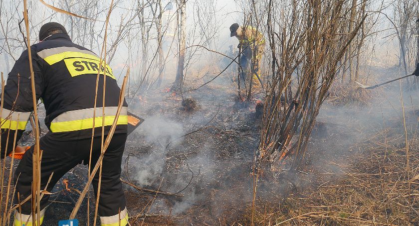 Trwa dogaszanie pożaru w Biebrzańskim Parku Narodowym