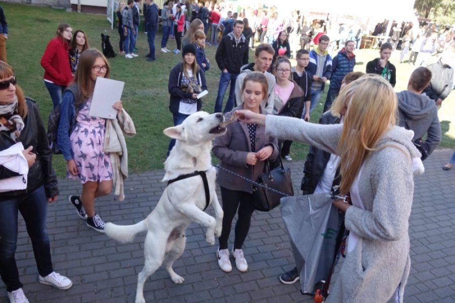 Festyn „Pupile Wety” po raz dziesiąty! [FOTO]