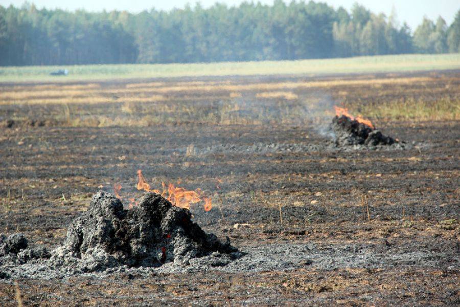 Palą się torfowiska nad Narwią
