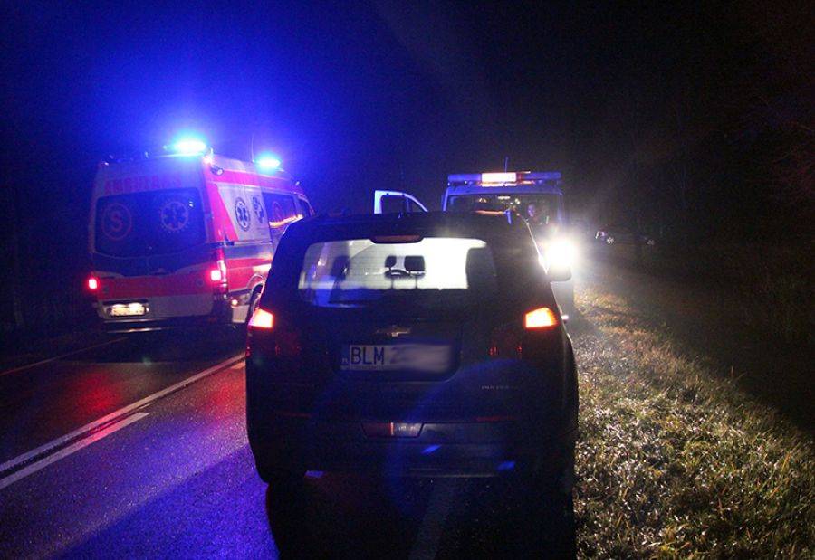 Dzikie zwierzęta na drogach regionu to zagrożenie [FOTO]