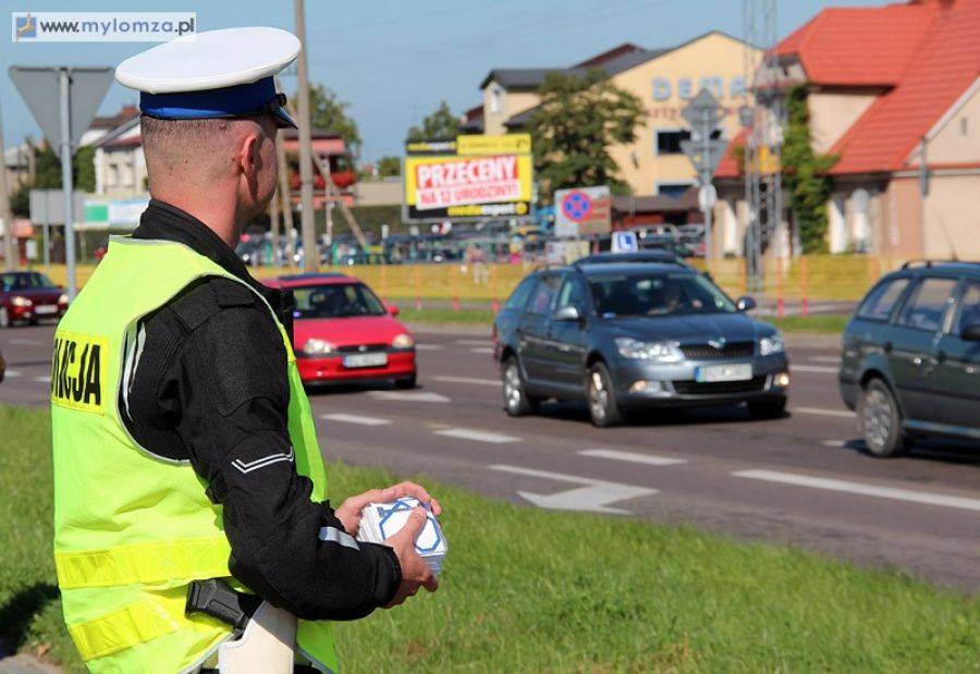 Piesi pod specjalnym nadzorem
