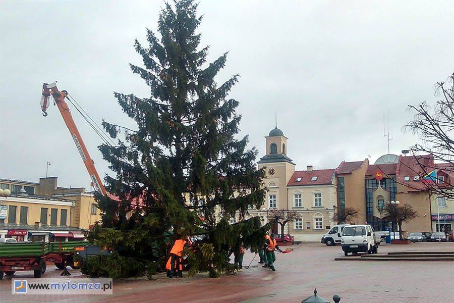 Choinka już stoi na Starym Rynku [VIDEO]