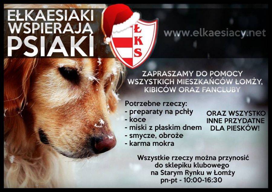 Ełkaesiaki wspierają psiaki
