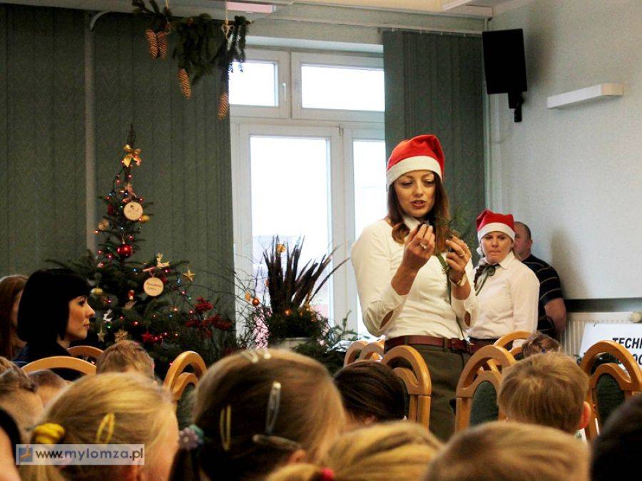 Ruszyła sprzedaż żywych choinek. Dla dzieci niespodzianki [FOTO i VIDEO]