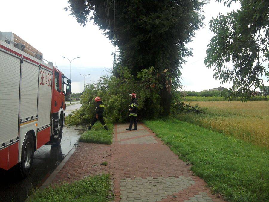 Ulewa nad Łomżą. Wiatr łamie drzewa!