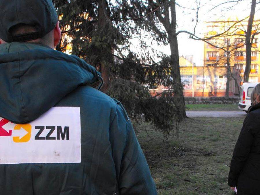 Zastępca kierownika Zakładu Zieleni Miejskiej poszukiwany