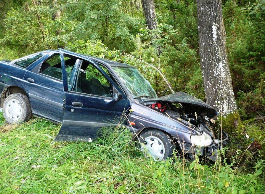 Ford uderzył w drzewo