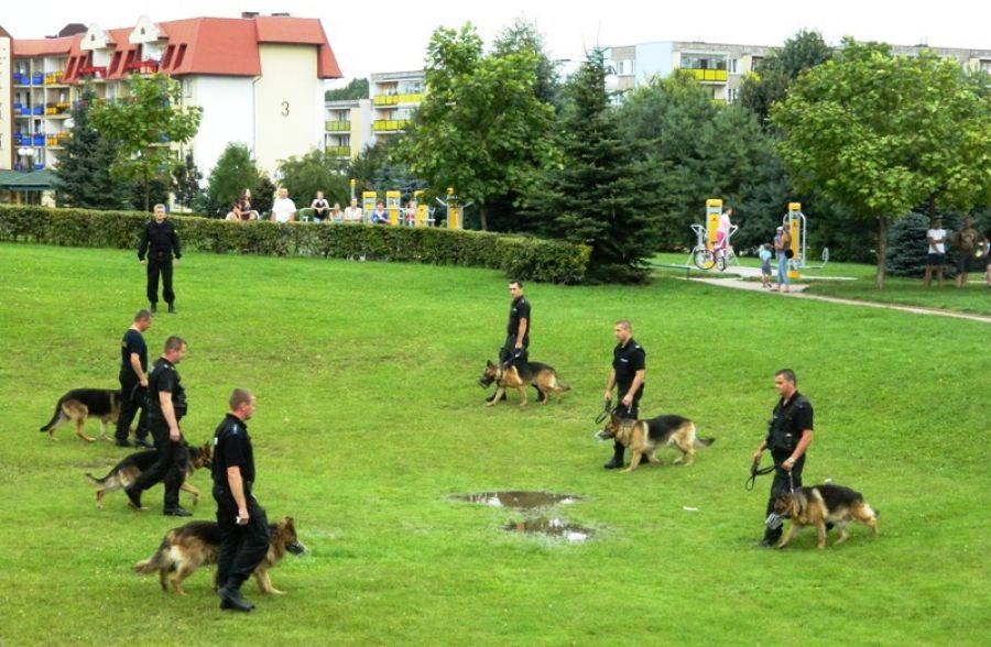 Policyjne psy na Skate Parku [foto i wideo].