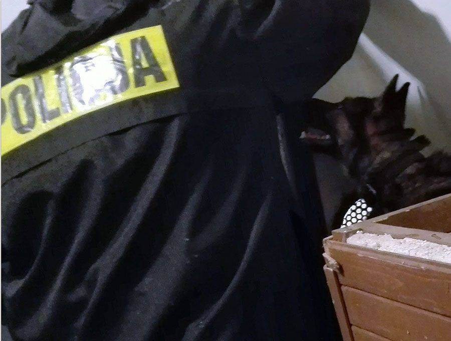 Przewodnicy z psami szkolili się w Czerwonym Borze [FOTO]
