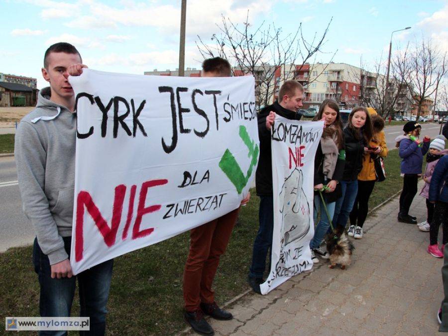 Cyrk jest śmieszny - nie dla zwierząt! [VIDEO]