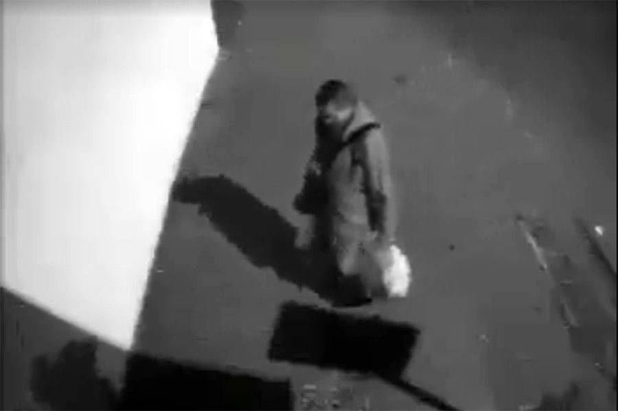Sąsiad! Byś się wstydził! [VIDEO]