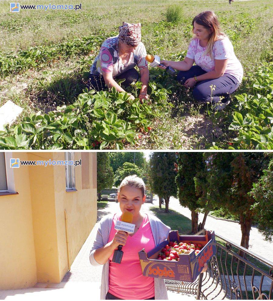Truskawkowy pat? [VIDEO i FOTO]