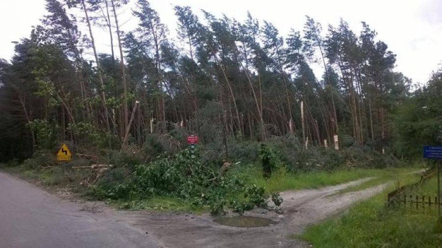 Szkody w lasach po nawałnicy