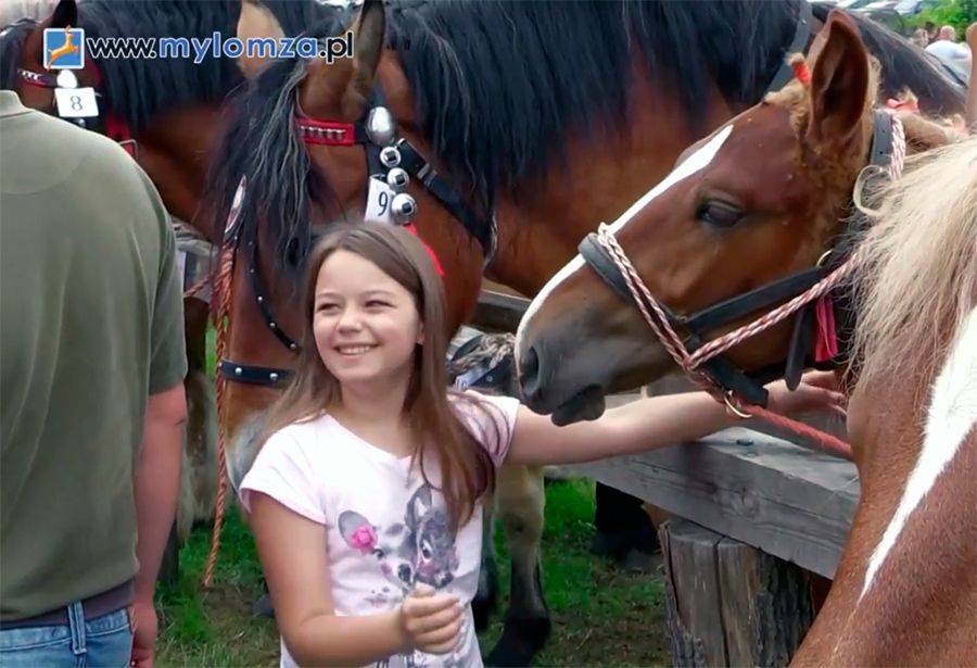 Wystawa klaczy i źrebiąt na Fortach w Piątnicy 2016 [VIDEO]