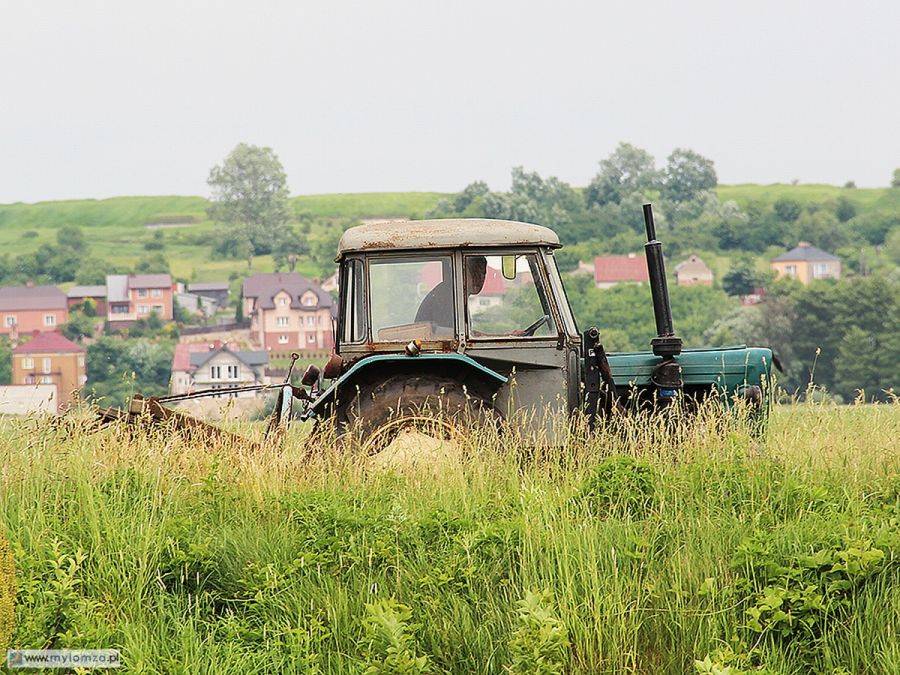Działki nad Narwią i Pisą łakomym kąskiem dla warszawiaków