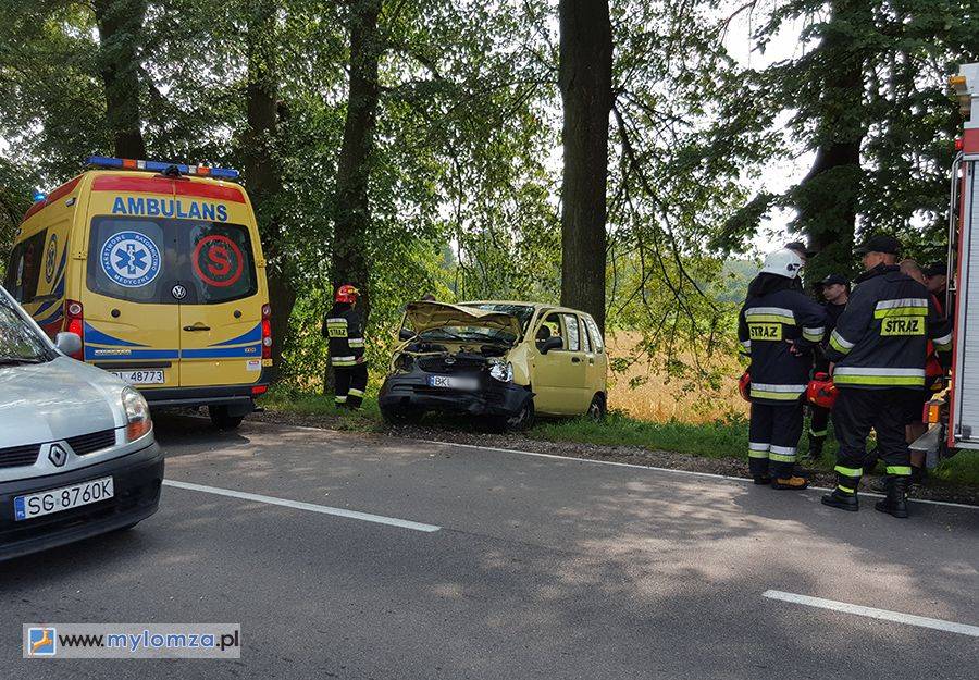 Uderzył w drzewo [FOTO]