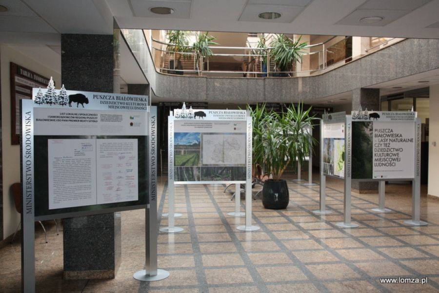 Historia Puszczy Białowieskiej w łomżyńskim ratuszu